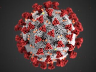 SARS CoV2 (COVID) virus image from CDC