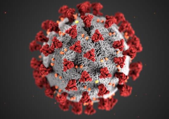 SARS CoV2 (COVID) virus image from CDC